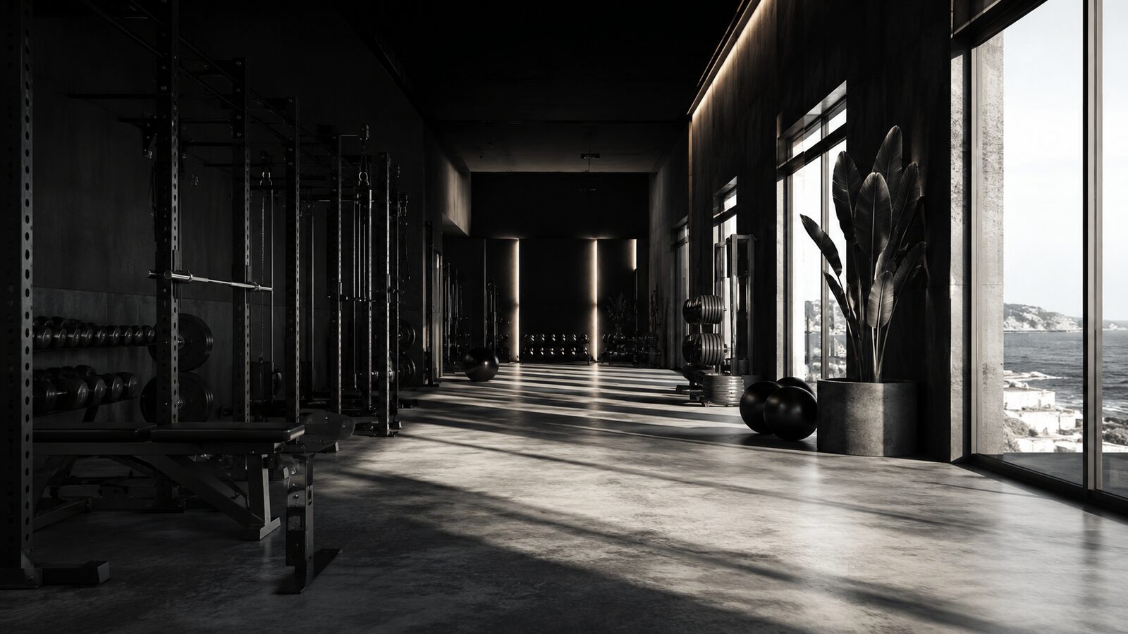 Univers fitness cinématique